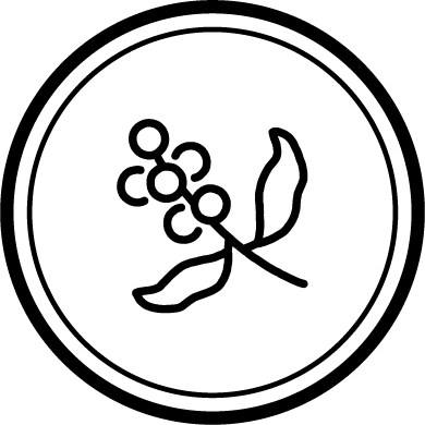 Souvenir Coffee's circular black line-drawn mark of a coffee branch with berries and leaves