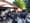Band on the outdoor stage at Rancho Nicasio, audience seated in white chairs under trees