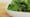A white square dish heaped with dressed kale salad on a wooden counter