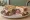 Hot Pastrami & Swiss at Waterfront Deli - Alameda: an illustration of the sandwich.