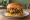 Animal Style Burger: an illustration of beef, mustard, pickle and onion on burger bun.