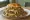 Colorado Green Chile Burger: an illustration of beef on burger bun.