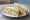 Cullen Skink Sandwich: an illustration of potato and onion on white bread.