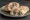 Kibbeh Labanieh Sandwich: an illustration of lamb, yogurt and onion on pita.