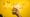 A hand holds up an egg sandwich on a brioche bun before a yellow wall with a neon sign reading YOLKED.
