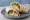 Wrap Poulet: an illustration of chicken, lettuce, tomato and mayonnaise on tortilla.